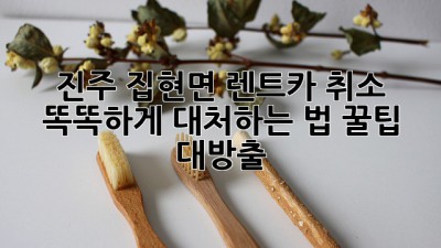 🚗 진주 집현면 렌트카 취소, 똑똑하게 대처하는 법! 꿀팁 대방출 🍯