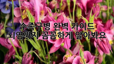 수족구병 완벽 가이드: 뇌염까지? 꼼꼼하게 알아봐요!