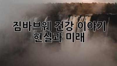 짐바브웨 건강 이야기: 현실과 미래