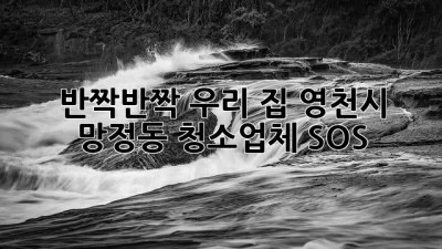 ✨반짝반짝✨ 우리 집, 영천시 망정동 청소업체 SOS🚨